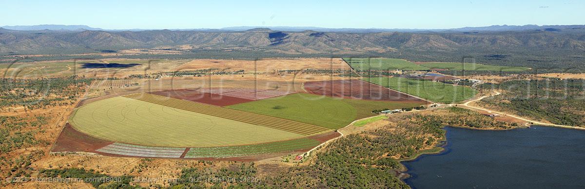 Peter Bellingham Photography Lakeland Farm - QLD (PBH4 00 14326)